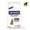 Advance Medium Senior Trockenfutter Für Hunde 1 Advance Medium Senior Trockenfutter Für Hunde -Heimtierbedarf advance medium senior hund