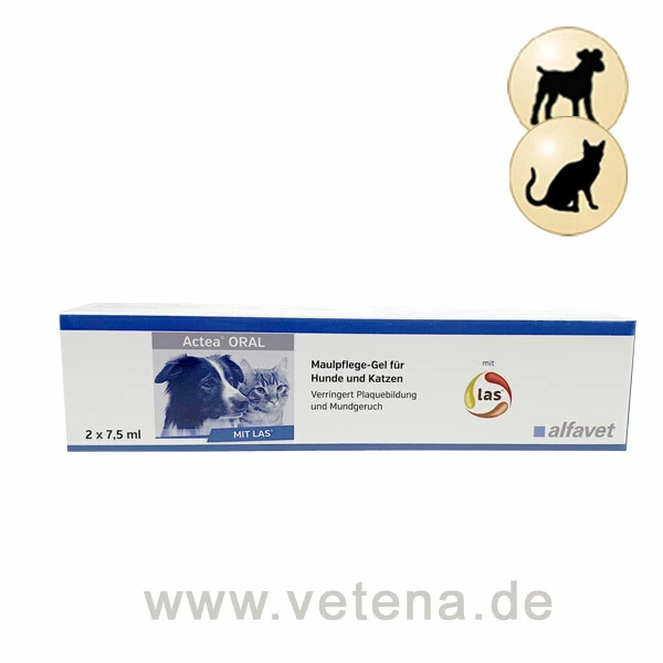 Actea ORAL Gel Hund & Katze 3 Actea ORAL Gel Hund & Katze