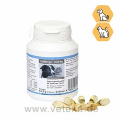 DuOmega Hund &amp; Katze