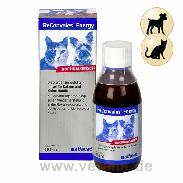 ReConvales Energy Katze & Hund 3 ReConvales Energy Katze & Hund