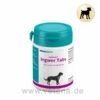 Astoral Ingwer Tabs 2 Astoral Ingwer Tabs -Heimtierbedarf almapharm astoral ingwer tabs hund