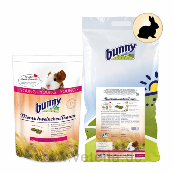 Bunny MeerschweinchenTraum Young 3 Bunny MeerschweinchenTraum Young
