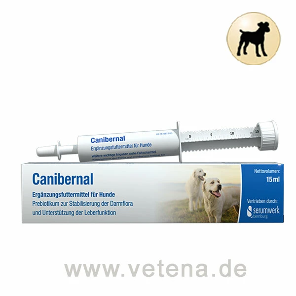 Canibernal Für Hunde 3 Canibernal Für Hunde