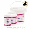 Canina Equolyt Arthro Forte 2 Canina Equolyt Arthro Forte -Heimtierbedarf canina equolyt arthro forte pferd