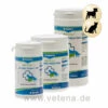 Canina Petvital Arthro-Tabletten 2 Canina Petvital Arthro-Tabletten -Heimtierbedarf canina petvital arthro tabletten hund katze