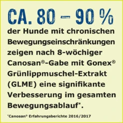 Boehringer Ingelheim Canosan Für Hunde -Heimtierbedarf canosan hund boehringer ingelheim4