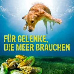 Boehringer Ingelheim Canosan Für Hunde -Heimtierbedarf canosan hund boehringer ingelheim6