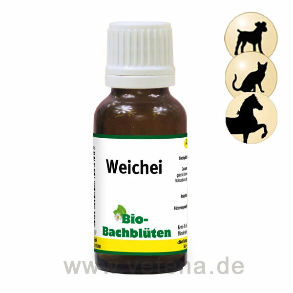 CdVet Bio-Bachblüten Weichei 3 CdVet Bio-Bachblüten Weichei