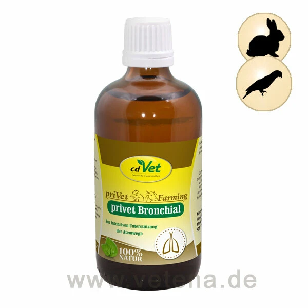 CdVet Privet Bronchial 3 CdVet Privet Bronchial