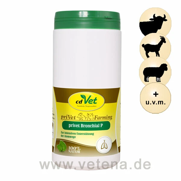 CdVet Privet Bronchial P 3 CdVet Privet Bronchial P