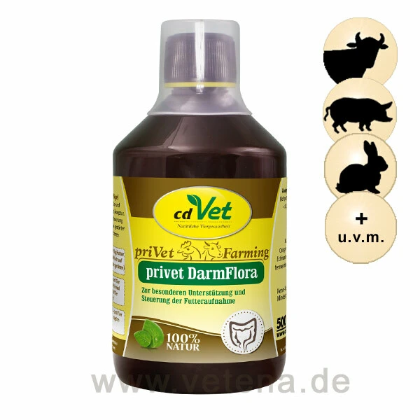 CdVet Privet DarmFlora 3 CdVet Privet DarmFlora