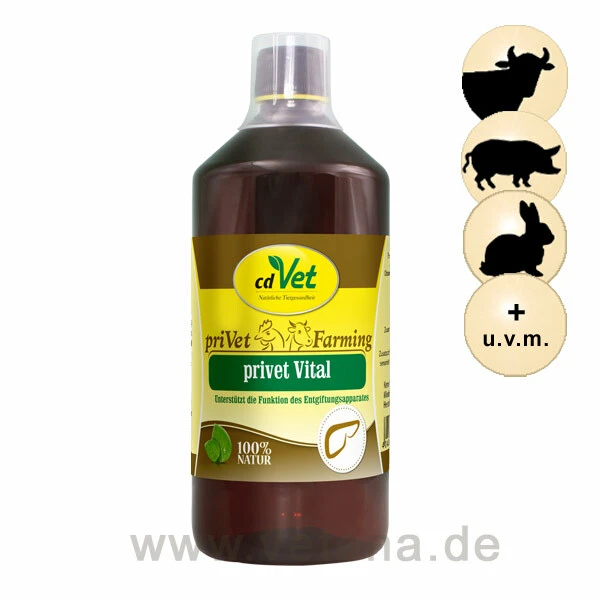 CdVet Privet Vital 3 CdVet Privet Vital