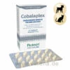 DECHRA Cobalaplex 1 DECHRA Cobalaplex -Heimtierbedarf cobalaplex hund katze