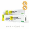 Urocid Paste Für Hunde & Katzen 1 Urocid Paste Für Hunde & Katzen -Heimtierbedarf cp pharma urocid paste hunde katzen