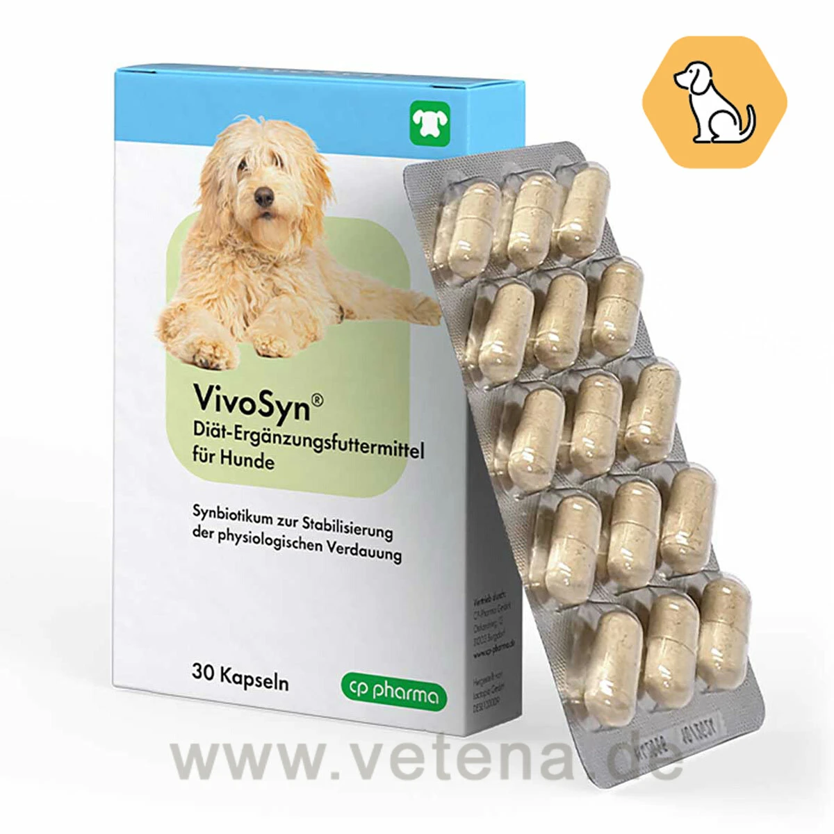 VivoSyn Für Hunde 3 VivoSyn Für Hunde