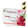 Dermoscent Uti-Zen 1 Dermoscent Uti-Zen -Heimtierbedarf dermoscent uti zen