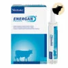 Virbac Energan Phosphor 2 Virbac Energan Phosphor -Heimtierbedarf energan phosphor rind