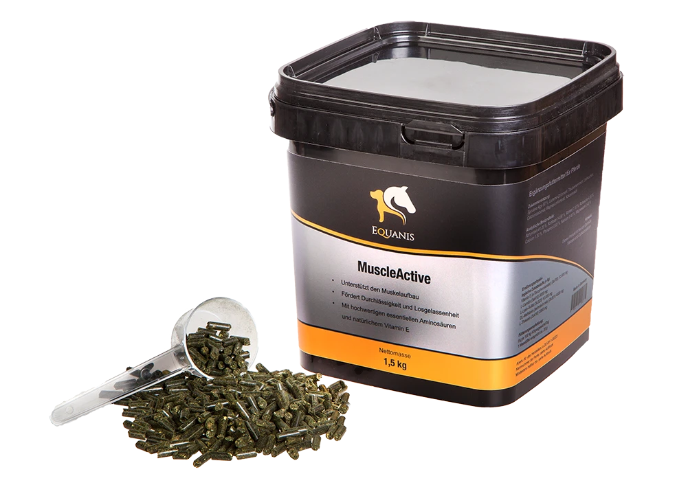 Equanis MuscleActive Für Pferde 4 Equanis MuscleActive Für Pferde – Bild 2