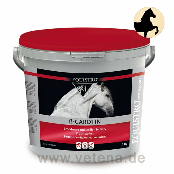 Equistro ß-Carotin Pferd 3 Equistro ß-Carotin Pferd