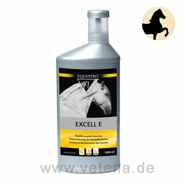 Equistro Excell E Pferd 3 Equistro Excell E Pferd
