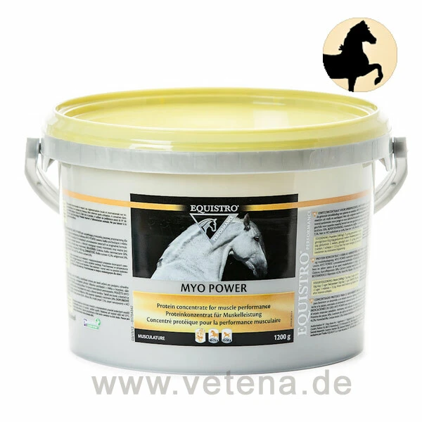 Equistro Myo Power Pferd 3 Equistro Myo Power Pferd