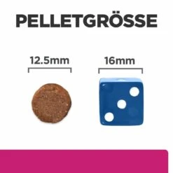 Hill's Gastrointestinal Biome Trockenfutter Für Hunde 9 Hill's Gastrointestinal Biome Trockenfutter Für Hunde -Heimtierbedarf hills gastrointestinal biome trocken hund4