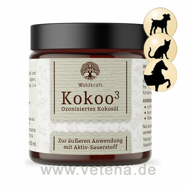 Kokoo3 Ozonisiertes Kokosöl 3 Kokoo3 Ozonisiertes Kokosöl