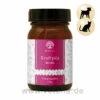 Kraftpilze Reishi - Vitalpilzpulver Für Hunde & Katzen 1 Kraftpilze Reishi - Vitalpilzpulver Für Hunde & Katzen -Heimtierbedarf kraftpilz reishi
