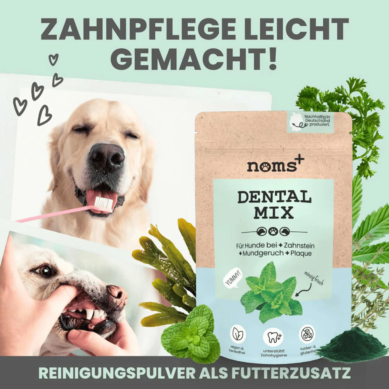 Noms+ Dentalmix Für Hunde 5 Noms+ Dentalmix Für Hunde – Bild 3
