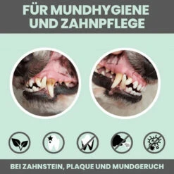 Noms+ Dentalmix Für Hunde 13 Noms+ Dentalmix Für Hunde -Heimtierbedarf nomsplus dentalmix hunde5