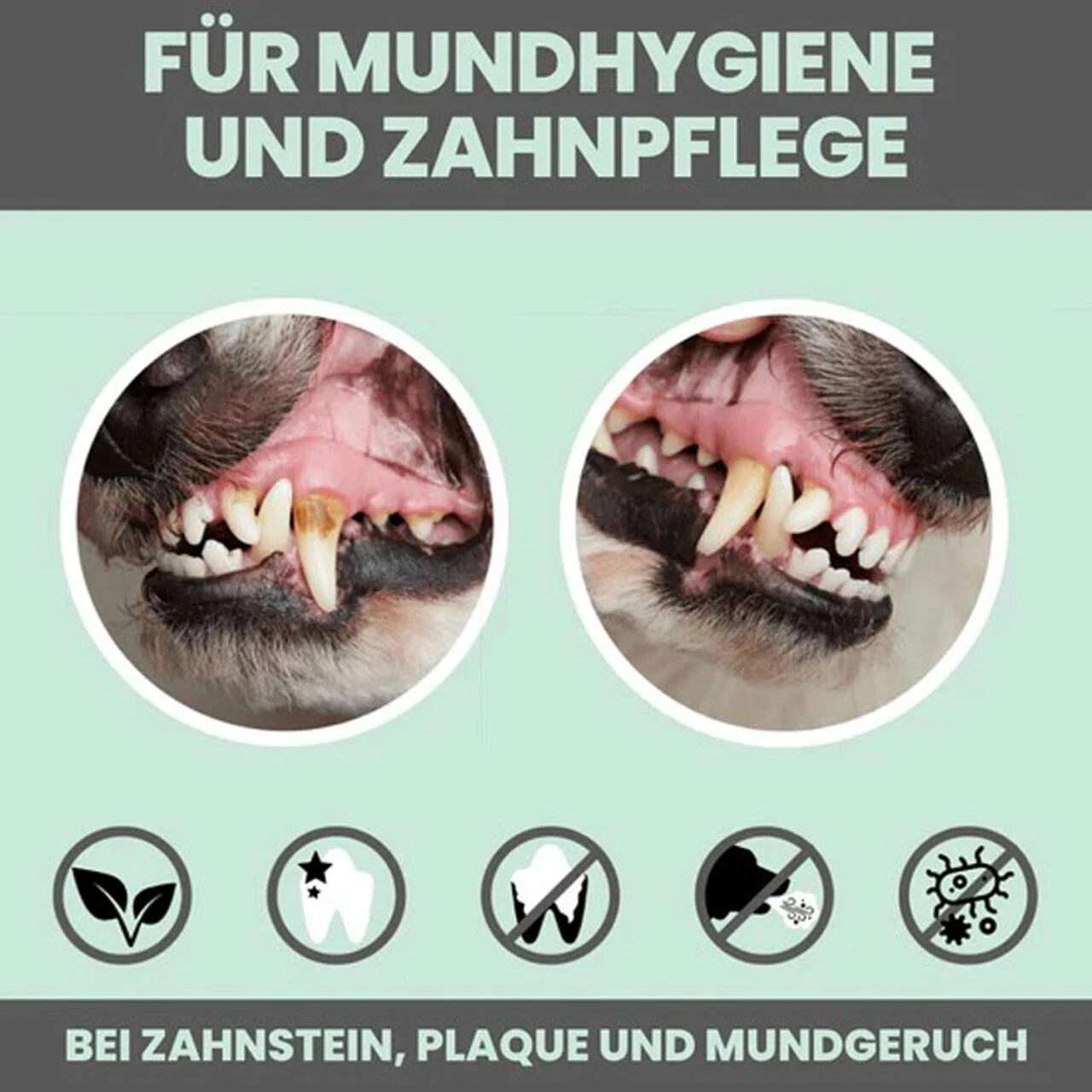 Noms+ Dentalmix Für Hunde 7 Noms+ Dentalmix Für Hunde – Bild 5