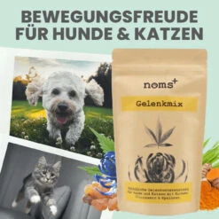 Noms+ Gelenkmix Für Hunde & Katzen 10 Noms+ Gelenkmix Für Hunde & Katzen -Heimtierbedarf nomsplus gelenkmix hunde katzen3