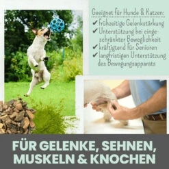 Noms+ Gelenkmix Für Hunde & Katzen 11 Noms+ Gelenkmix Für Hunde & Katzen -Heimtierbedarf nomsplus gelenkmix hunde katzen4