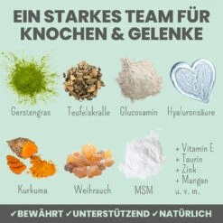 Noms+ Gelenkmix Für Hunde & Katzen 12 Noms+ Gelenkmix Für Hunde & Katzen -Heimtierbedarf nomsplus gelenkmix hunde katzen5