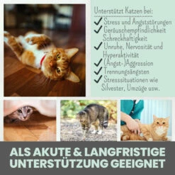Noms+ Wohlfühlpaste Für Katzen 10 Noms+ Wohlfühlpaste Für Katzen -Heimtierbedarf nomsplus wohlfuehlpaste hunde4