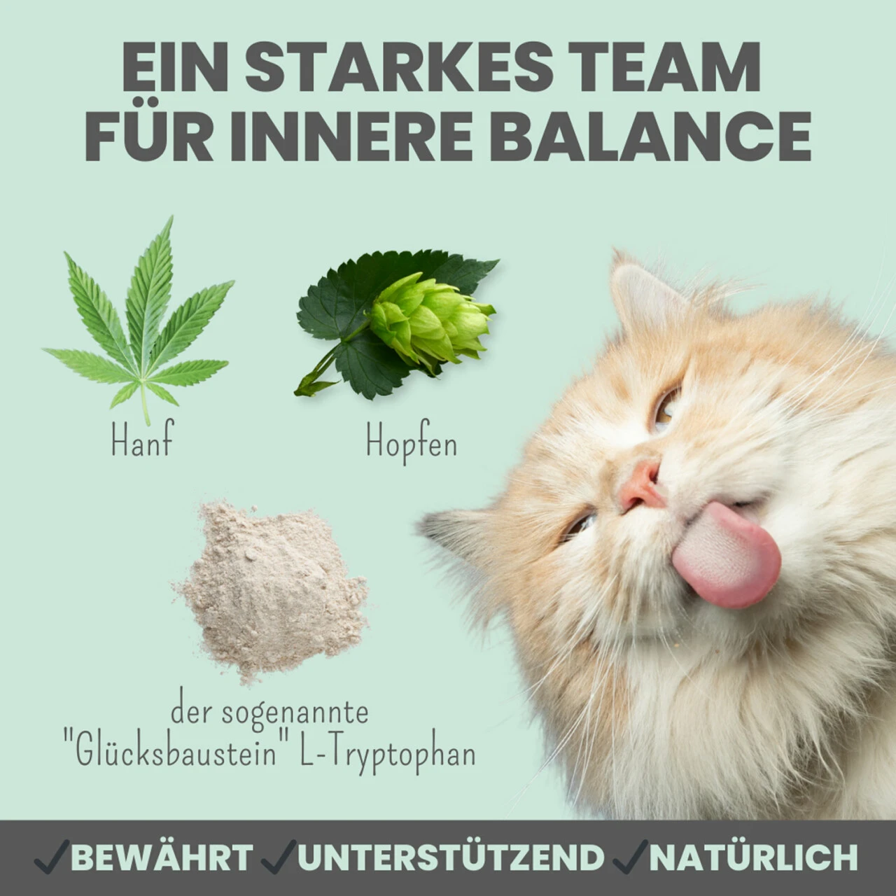 Noms+ Wohlfühlpaste Für Katzen 7 Noms+ Wohlfühlpaste Für Katzen – Bild 5
