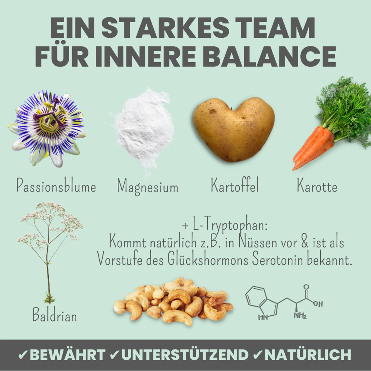 Noms+ Wohlfühlsnacks Für Hunde 6 Noms+ Wohlfühlsnacks Für Hunde – Bild 4