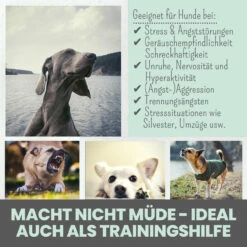 Noms+ Wohlfühlsnacks Für Hunde 15 Noms+ Wohlfühlsnacks Für Hunde -Heimtierbedarf nomsplus wohlfuehltabs hund katze 15