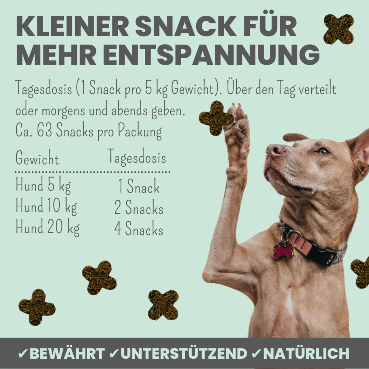 Noms+ Wohlfühlsnacks Für Hunde 8 Noms+ Wohlfühlsnacks Für Hunde – Bild 6