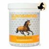 NutriLabs Glukosaminol Equin 2 NutriLabs Glukosaminol Equin -Heimtierbedarf nutrilabs glukosaminol equin pferd