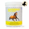 NutriLabs Supersulf MSM Equin 1 NutriLabs Supersulf MSM Equin -Heimtierbedarf nutrilabs supersulf msm equin pferd