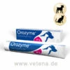 Orozyme Zahnpflege-Gel 1 Orozyme Zahnpflege-Gel -Heimtierbedarf orozyme zahnpflege gel