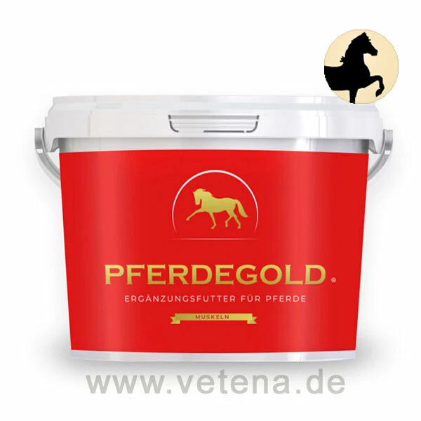 Pferdegold Muskeln 3 Pferdegold Muskeln