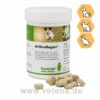 PlantaVet ArthroRegén Für Hunde, Katzen & Nager 1 PlantaVet ArthroRegén Für Hunde, Katzen & Nager -Heimtierbedarf plantavet arthroregen heimtiere