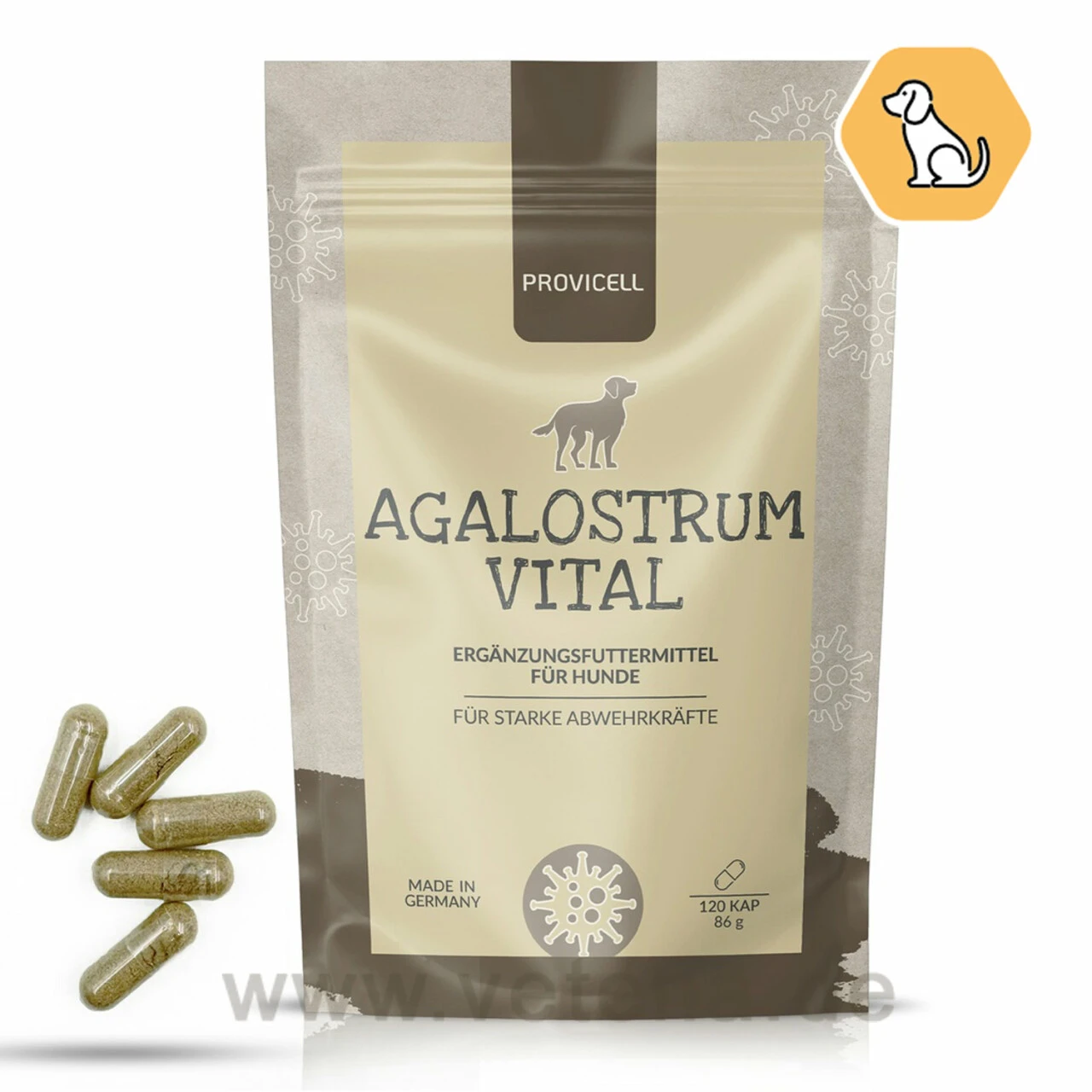 Agalostrum PET 3 Agalostrum PET
