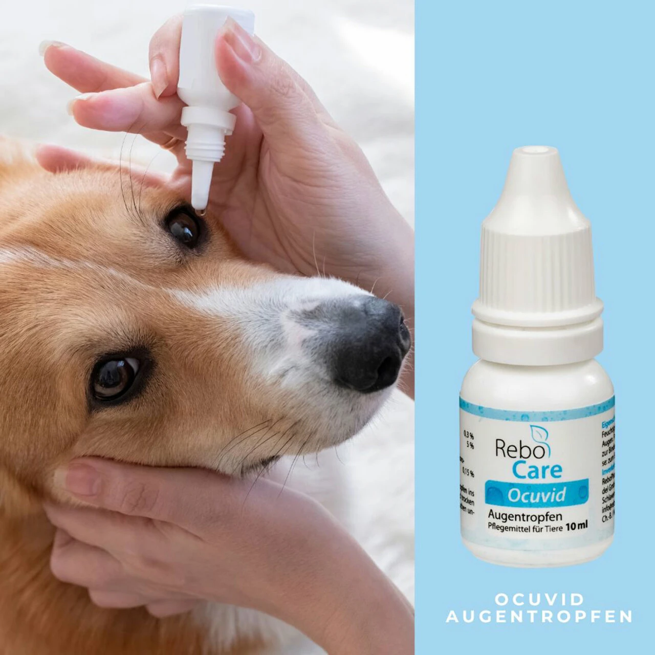 ReboCare Ocuvid Augentropfen Für Tiere 6 ReboCare Ocuvid Augentropfen Für Tiere – Bild 4