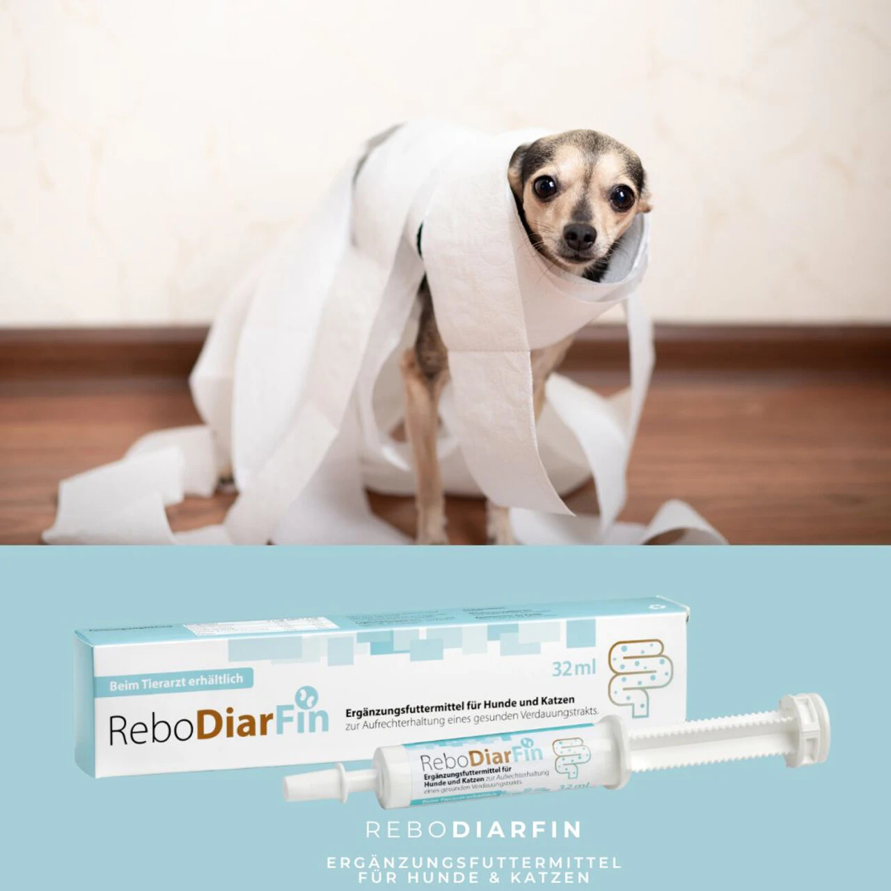 ReboVet ReboDiarFin Für Hunde & Katzen 6 ReboVet ReboDiarFin Für Hunde & Katzen – Bild 4