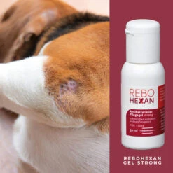 ReboHexan Gel Strong 9 ReboHexan Gel Strong -Heimtierbedarf rebohexan gel strong tiere4