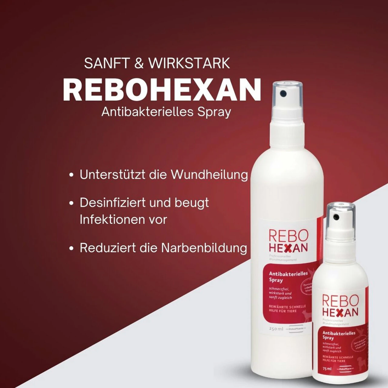 ReboHexan Spray 4 ReboHexan Spray – Bild 2