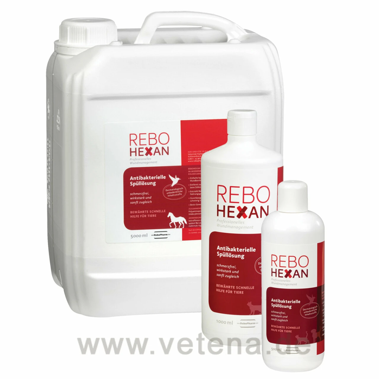 ReboHexan Spüllösung 3 ReboHexan Spüllösung